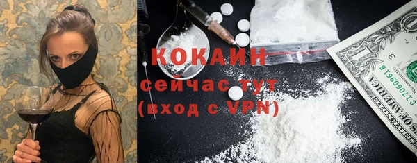 стафф Бородино