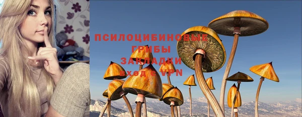 стафф Бородино